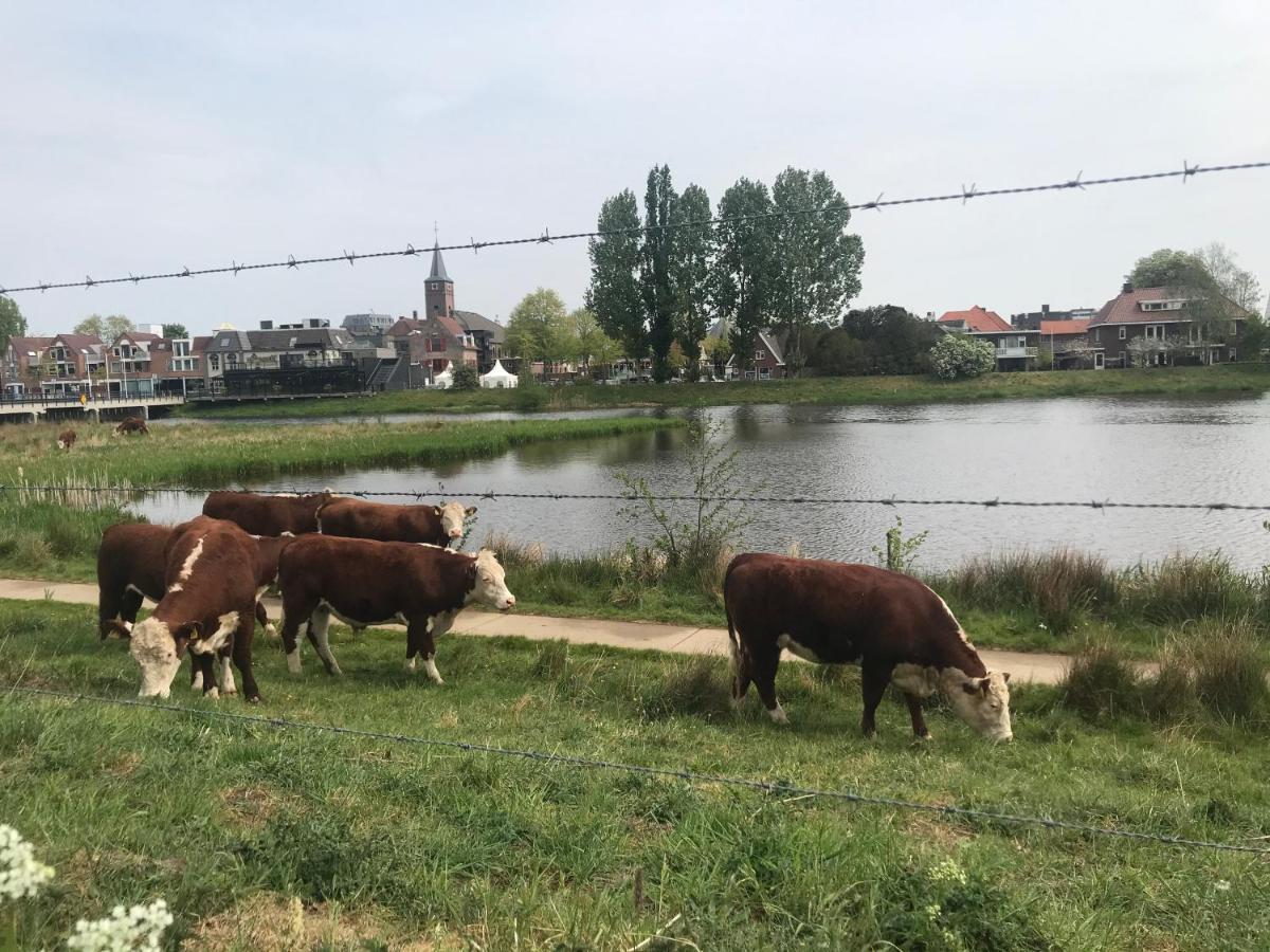 B&B Tussen Vecht En Veer Hardenberg Exteriér fotografie